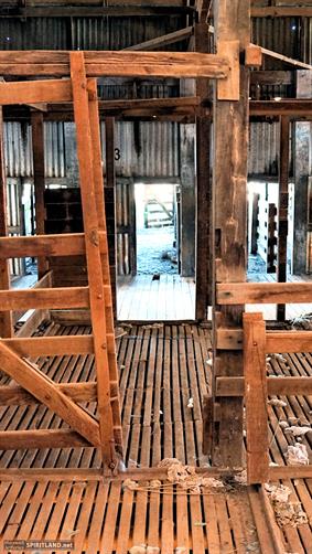 Shearing Shed, SA. 